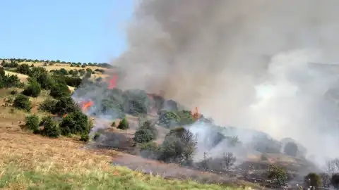 Manisa Valiliği Koordinasyonundaki Yangın Riskini Azaltma Planı İlk Ayında Başarı Sağladı