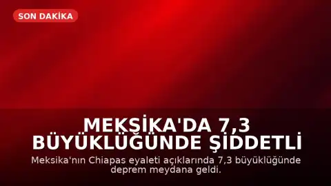 Meksika'da 7,3 Büyüklüğünde Şiddetli Deprem: Tsunami Uyarısı Yapıldı