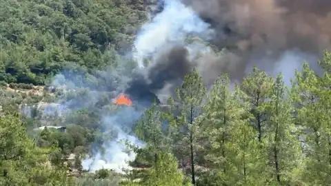 Muğla ve Antalya'da Orman Yangınları: Ekipler Müdahale Ediyor