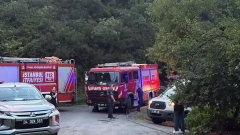Sarıyer Kocataş Mahallesi'nde Orman Yangını: 1 İtfaiye Eri Yaralandı