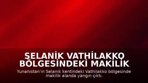 Selanik Vathilakko Bölgesindeki Makilik Alanda Yangın Başladı