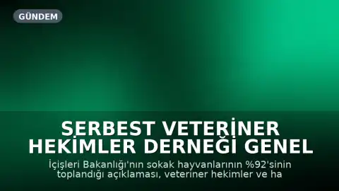 Serbest Veteriner Hekimler Derneği Genel Başkanı Bilsay Kanat: "Bize kaç hayvan toplandığını değil, kaçının yaşatıldığını söyleyin"
