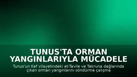 Tunus'ta Orman Yangınlarıyla Mücadele Sürüyor