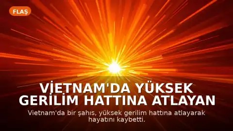 Vietnam'da Yüksek Gerilim Hattına Atlayan Şahıs Hayatını Kaybetti