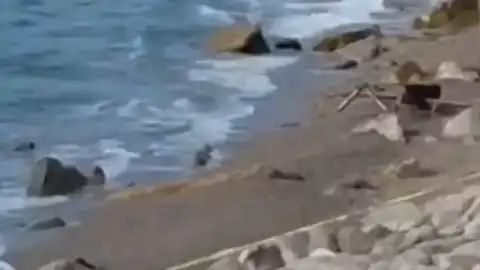 Zonguldak Filyos Sahili'nde Askeri İHA Bulundu: Geniş Güvenlik Önlemi Alındı
