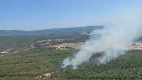 İzmir'in Buca İlçesinde Orman Yangınına Müdahale Ediliyor