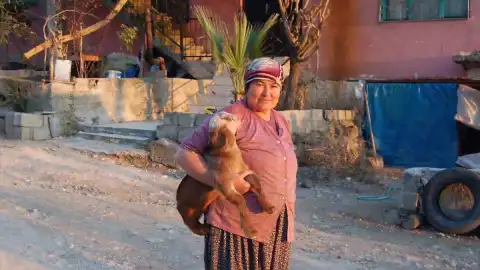 Osmaniye'de 7 Yıl Sonra Aydınlatılan Cinayet Davasında Şüpheli Tutuklandı