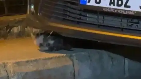 Karabük'te Otomobil Motoruna Sıkışan Yavru Kedi İtfaiye Tarafından Kurtarıldı