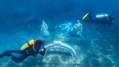 Saros Körfezi'ndeki Yapay Resiflere Ahtapot ve Kalamar Yumurtladı
