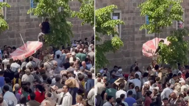 Mesir Macunu Festivalinde Vatandaşın İlginç Yöntemi Dikkat Çekti