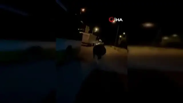 Bursa Osmangazi'de Sahibinden Kaçan Dana Sokaklarda Panik Yarattı