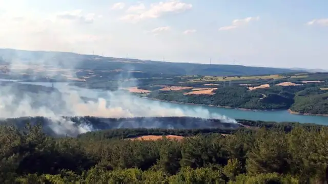 Kırklareli'nde Ormanlara Giriş 129 Gün Boyunca Yasaklandı
