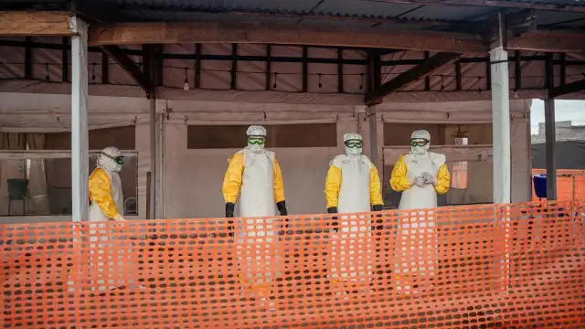 DSÖ: Ebola salgını beklenenden önce başlamış olabilir