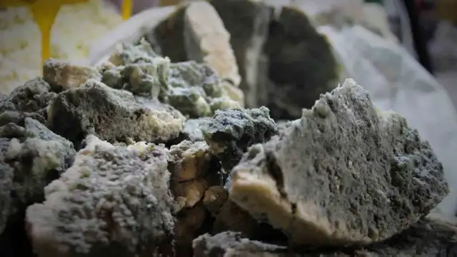 Bilim Küflü Peynirleri Değerlendirdi: Kontrollü Küf Güvenli, Kendiliğinden Oluşan Küf Tehlikeli