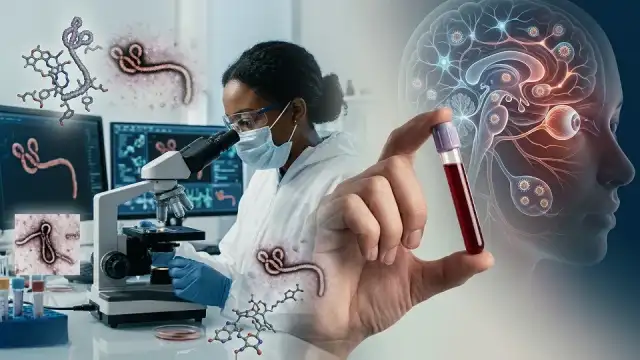 Bilim Dünyasında Ebola Keşfi: Virüsün İnsan Beynini Sığınak Olarak Kullandığı Belirlendi