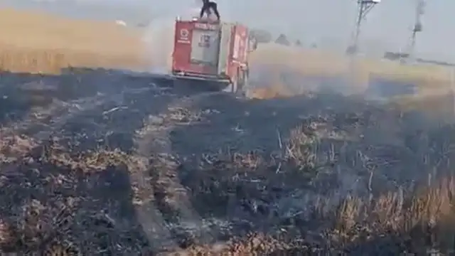Şırnak'ın Silopi ilçesinde buğday ekili arazide yangın çıktı: 10 dönüm alan zarar gördü