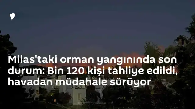 Milas'ta Orman Yangını Kontrol Altına Alınıyor: 1.120 Kişi Tahliye Edildi, Havadan Müdahale Sürüyor
