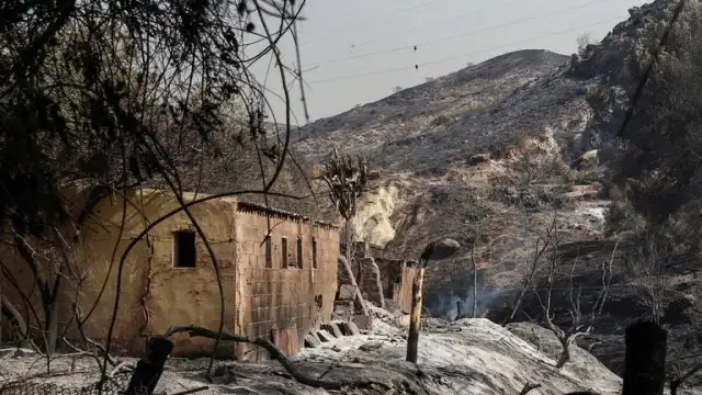 Endülüs'te Orman Yangını: 12 Kişi Hayatını Kaybetti