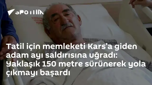 Kars'ta Ayı Saldırısına Uğrayan Vatandaş Yaralandı