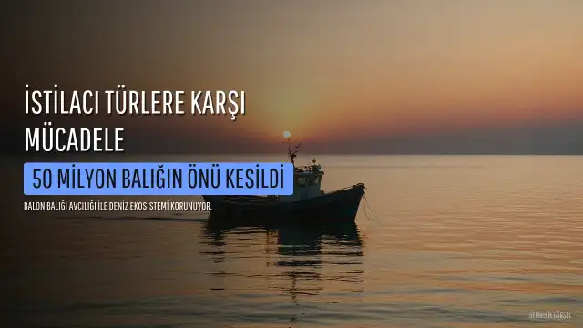 Balıkçılık ve Su Ürünleri Genel Müdürü Turgay Türkyılmaz: "6 yılda, 665 bin balon balığı ekosistemden uzaklaştırıldı."
