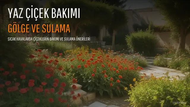 Sıcak Havalarda Çiçek Bakımı: Uzmanından Öneriler