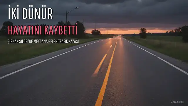 Şırnak'ta Trafik Kazası: Yeni Evlerini Düzenleyen İki Dünür Hayatını Kaybetti