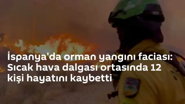İspanya'da Orman Yangını: Sıcak Hava Dalgası Ortasında 12 Kişi Yaşamını Yitirdi