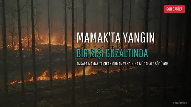 Ankara'da Orman Yangını: Bir Kişi Gözaltına Alındı
