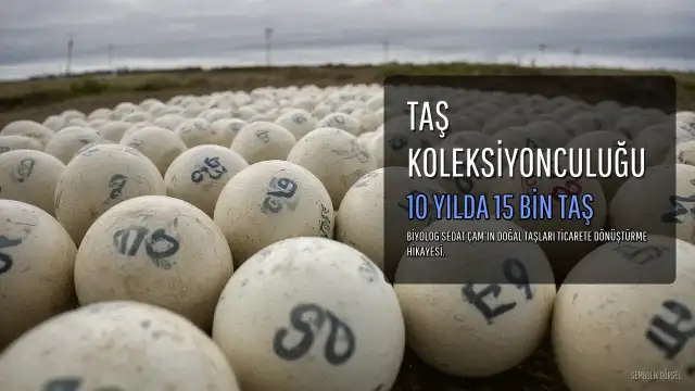 Doğal Taş Koleksiyonculuğuyla Hayatını Değiştiren Biyolog: Sedat Çam'ın 15 Bin Taşı