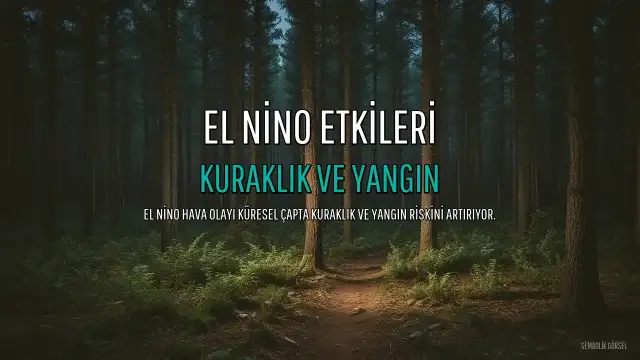 El Nino'nun Etkileri Sürüyor: Kuraklık ve Yangın Riski Artıyor