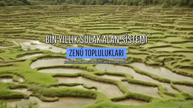 Kolombiya'da Bin Yıllık Sulak Alan Sistemi: 800 Kişi 500 Hektarı 6 Haftada Tarım Arazisine Dönüştürdü
