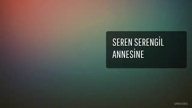 Seren Serengil Annesine Duygusal Bir Veda Mesajı Yayınladı