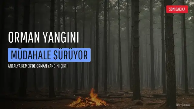 SON DAKİKA: Kemer'de Orman Yangını Çıktı