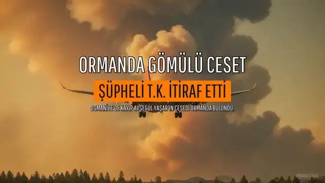24 Gündür Kayıp Olan A.Y.'ın Cesedi Ormanda Bulundu, Şüpheli T.K. Gözaltına Alındı