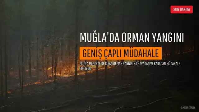 Muğla'nın Menteşe İlçesinde Orman Yangını: Geniş Çaplı Müdahale Başlatıldı