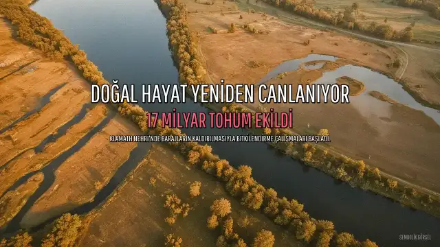 Sular Çekilince Klamath Nehri'nde Dev Bitkilendirme Operasyonu Başladı