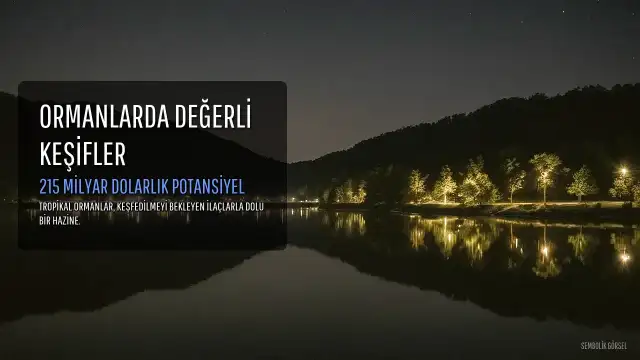 Tropikal Ormanlarda Keşfedilmeyi Bekleyen 215 Milyar Dolarlık İlaç Potansiyeli