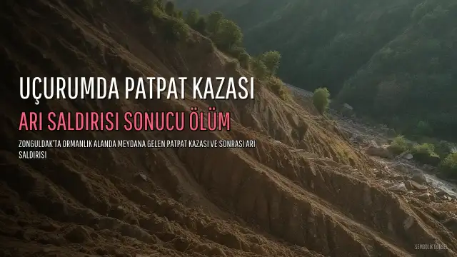 Zonguldak'ta Patpat Faciasında Arıların Saldırdığı Bir Kişi Hayatını Kaybetti