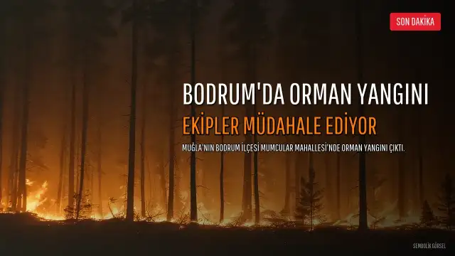 Bodrum'da Orman Yangını: Ekipler Havadan ve Karadan Müdahale Ediyor