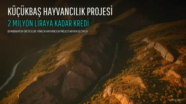 Diyarbakır'da Küçükbaş Hayvancılık Projesiyle Üreticilere 2 Milyon Liraya Kadar Kredi Desteği