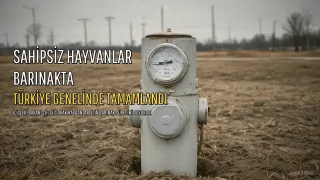 İçişleri Bakanı Çiftçi: Sokak Hayvanları İçin Türkiye Genelinde Hedeflenen Sayıya Ulaşıldı