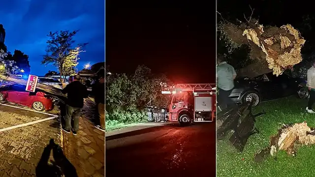 Bartın'da Fırtına: Ağaçlar Devrildi, Araçlar Hasar Gördü