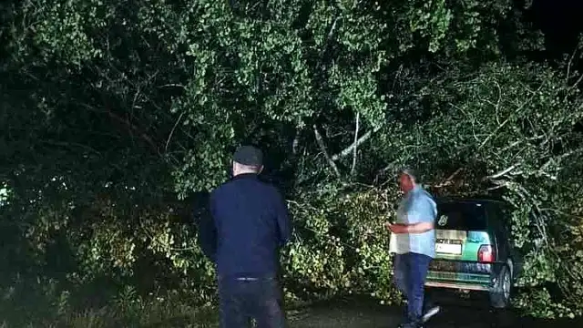 Bartın'da Şiddetli Fırtına: Ağaçlar Otomobillerin Üzerine Devrildi, Maddi Hasar Oluştu