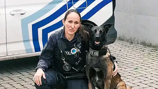 Belçika'da Köpeklere Özel Menü Uygulaması ve Türkiye Karşılaştırması