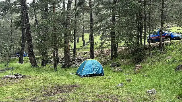 Bolu'da Ormana Yıldırım Düştü: 3 Kişi Yaralandı