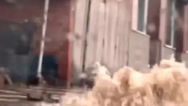 Bozüyük'te Sağanak Yağış Sele Neden Oldu, Yollar Sular Altında Kaldı