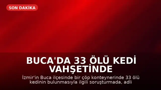 Buca'da 33 Ölü Kedi Vahşetinde Veteriner Hekim H.E. Yeniden Gözaltına Alındı