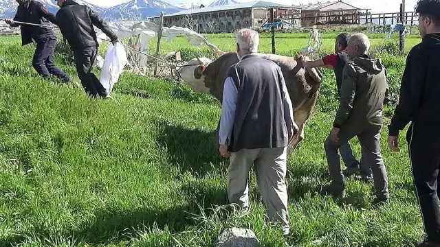 Erzurum'da Kurban Kesimi Sırasında Acı Kayıplar: Bir Kişi Hayatını Kaybetti, Çok Sayıda Yaralı Var