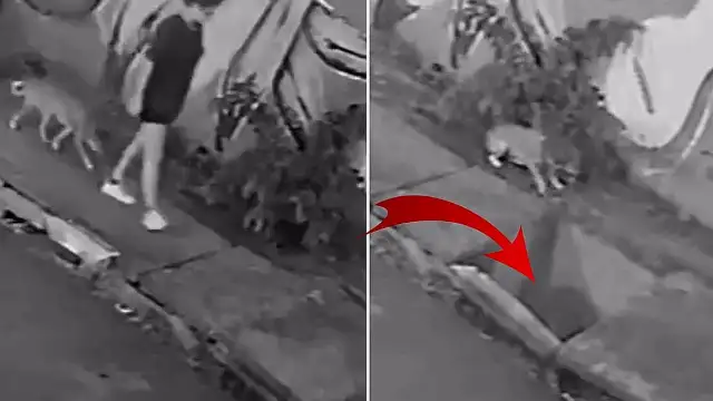 Genç Kadın Yürürken Rögar Kapağı Kırıldı, Kanalizasyona Düştü