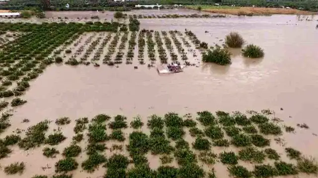 Hatay'da Aşırı Yağışlar Sonucu Asi Nehri Taştı: Tarım Arazileri Sular Altında Kaldı